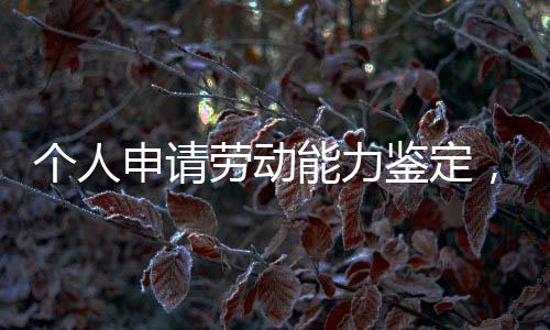 章人个人申请劳动能力鉴定