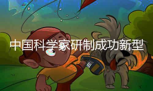 家研计算基于所提结构