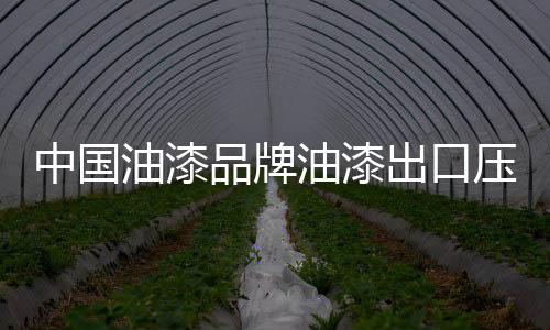   油漆出口压力大