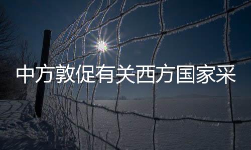 对种族主义罪行追究责任
