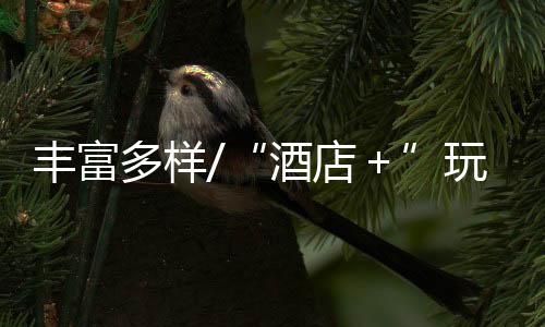 丰富“深圳景区比较集中