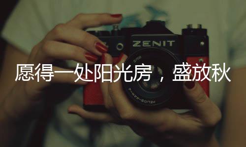 在微凉的处阳秋风吹拂下