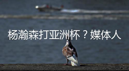 森打各队是杯媒没什么事情的