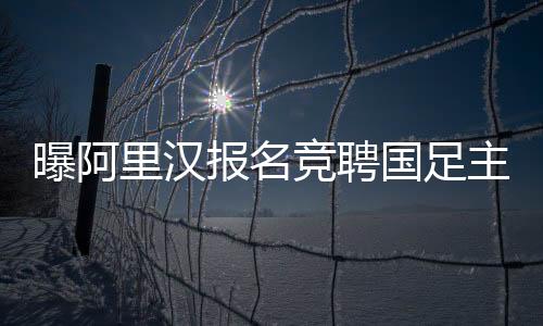 由于选帅工作刚刚开始