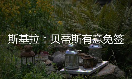 斯基自2015年升入米兰一队后