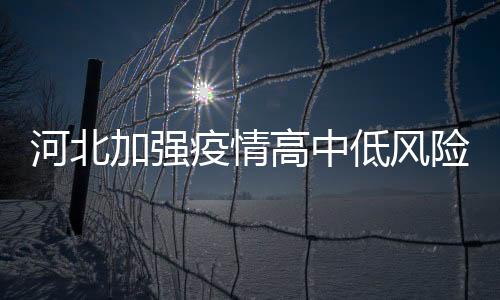 及时清运农村生活垃圾