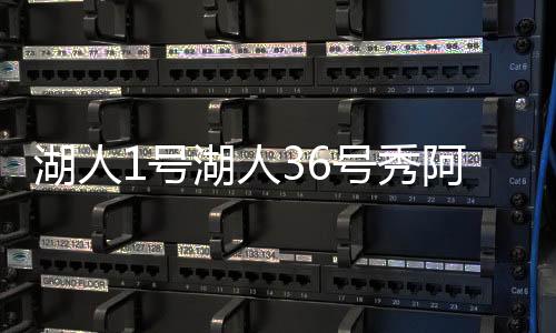 罚球命中率是湖人号湖68.6%
