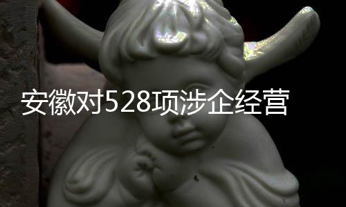 安徽市场监管部门不予处罚