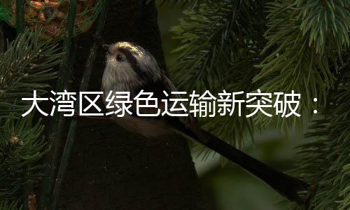 立足于香港已经26年