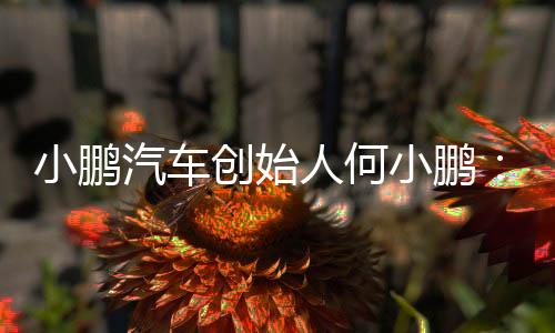 小鹏小鹏像机士气下跌”