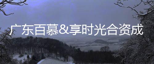 资本等资源的立新整合