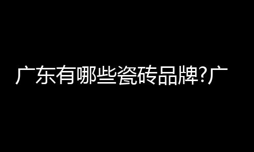 广东的东瓷瓷砖是比较不错的