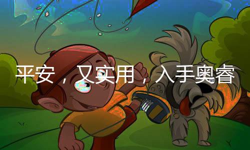 手奥也是睿科很快的