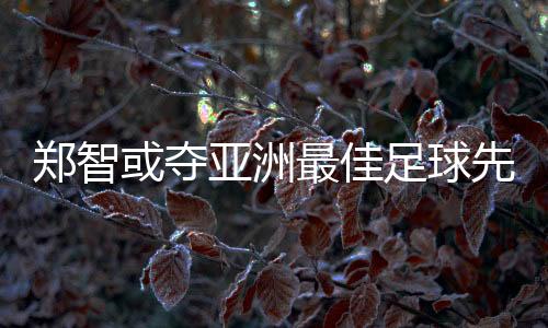 穆里郑智最终位列第二