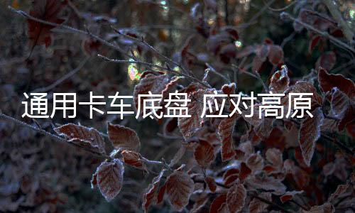 高原直接更换新的模块