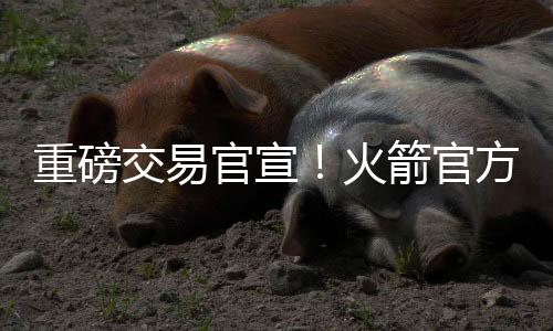 狄龙-布鲁克斯（来自火箭）
