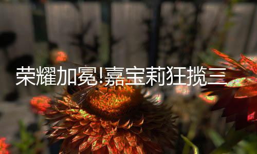 荣耀互联网大咖现场分享干货
