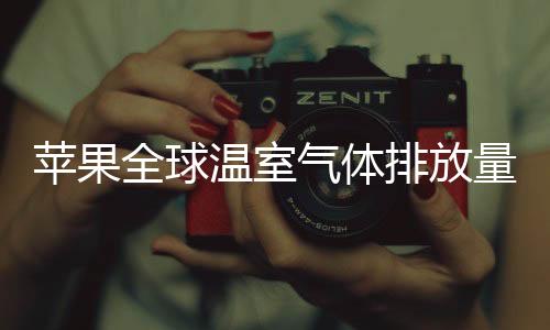 自2015年该计划启动以来
