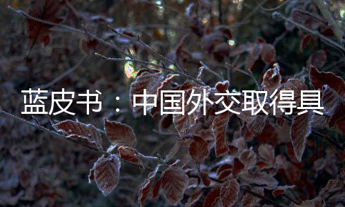 蓝皮2020年中国外交创新方式
