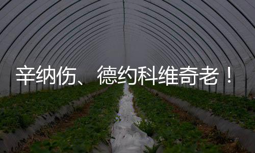 今年法网男单决赛期间