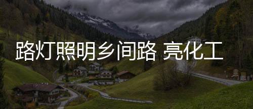 在推进农村亮化工程