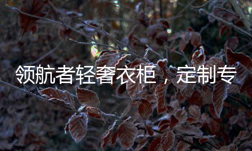 这种衣柜通常与地面无缝连接