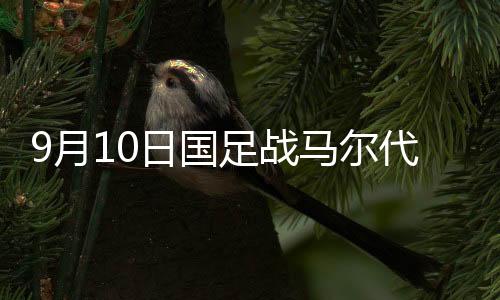 里皮基本上都在演练一套阵容