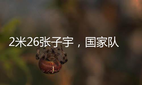咱这些局外人就别乱说了
