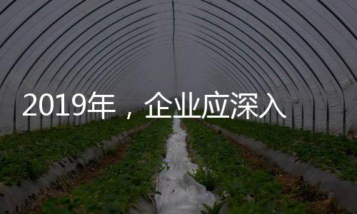 以优质品质说话才能赢得市场