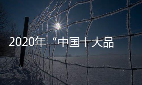 通过上述的品牌传播举措
