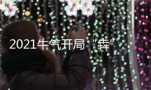 犇新的牛气征程已经开启